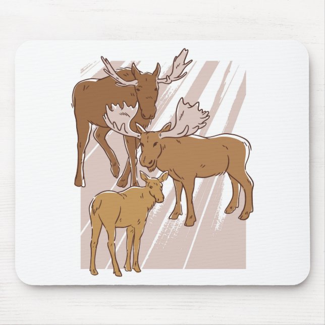 Moose Musmatta (Framsidan)