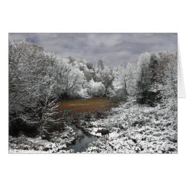 Moose on Snowy Oxbow Hälsningskort
