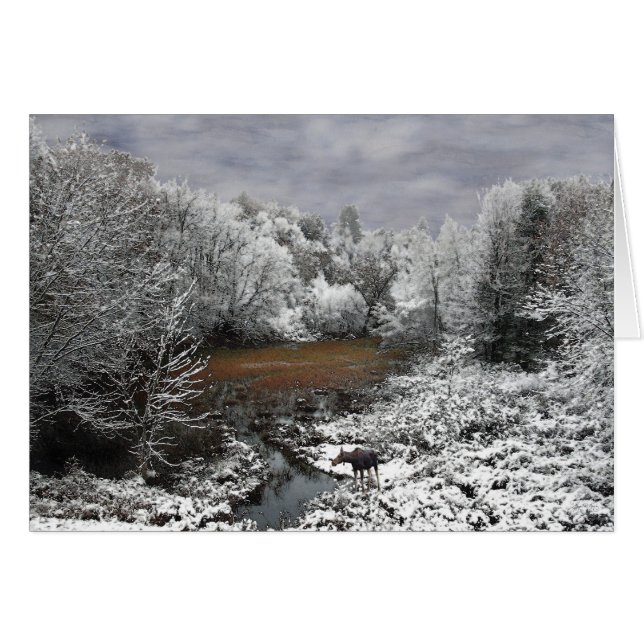 Moose on Snowy Oxbow Hälsningskort (Framsidan Horizontal)