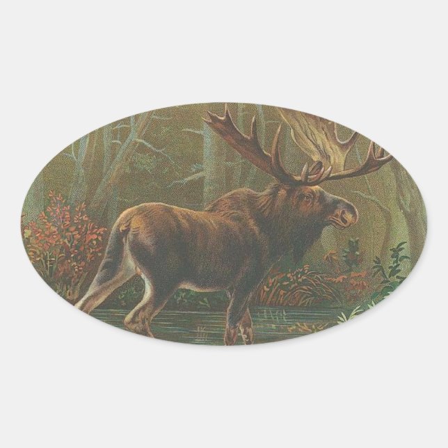 Moose Ovalt Klistermärke (Framsida)