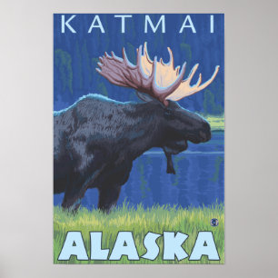 Moose på natten - Katmai, Alaska Poster