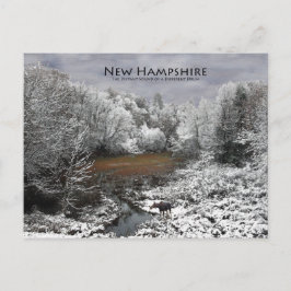 Moose på soloxom: New Hampshire Postcard Vykort