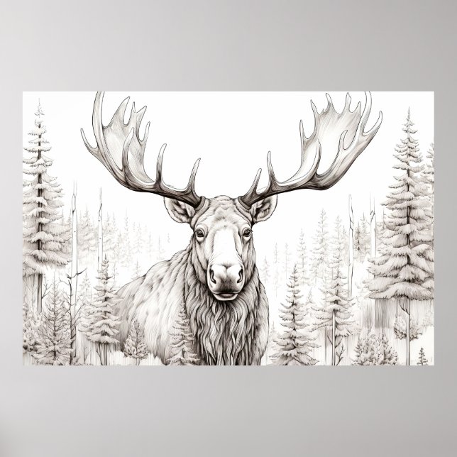 Moose Peacbevara Nature Prairie Sketch Teckning St Poster (Framsidan)