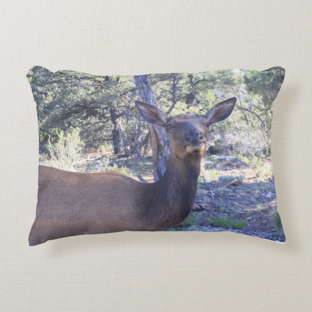 Moose Pillow Prydnadskudde (Framsidan)