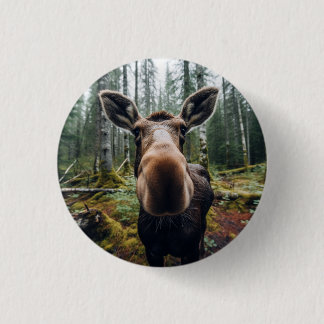 Moose Pin-knapp Knapp