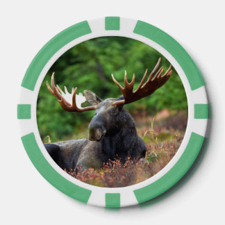 Moose Poker Marker