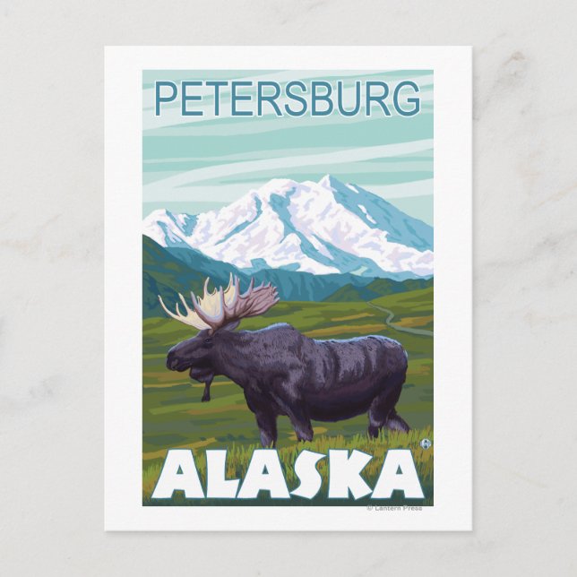 Moose Scene - Petersburg, Alaska Vykort (Framsida)