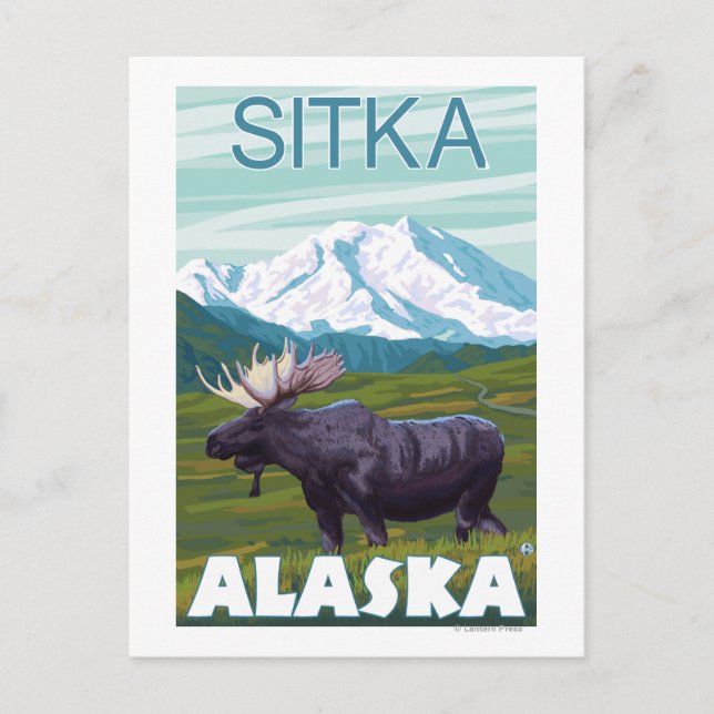 Moose Scene - Sitka, Alaska Vykort (Framsida)