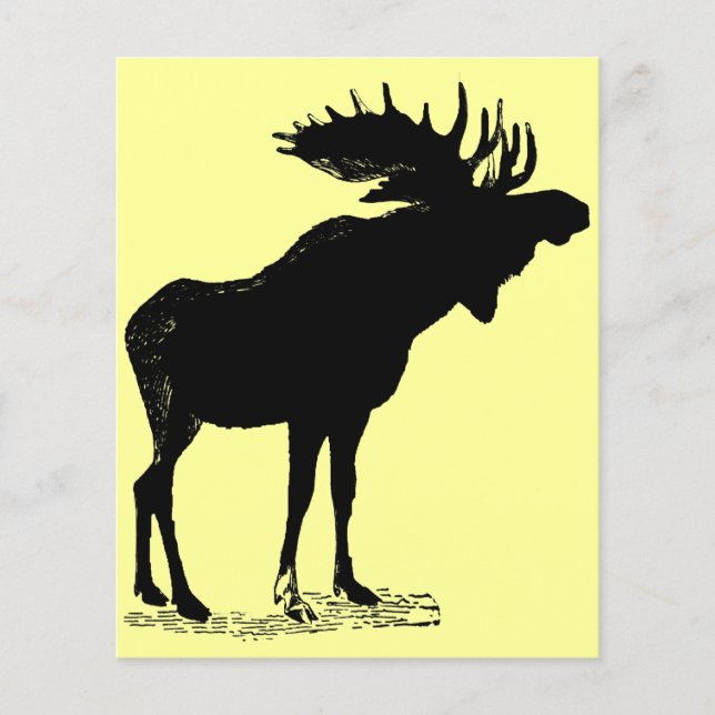 Moose Silhouette (Framsida)