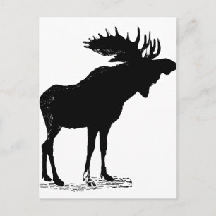 Moose Silhouette Vykort