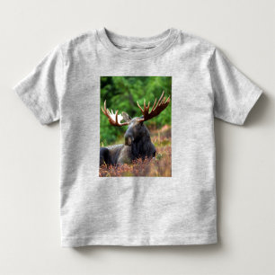 Moose Småbarn T-Shirt