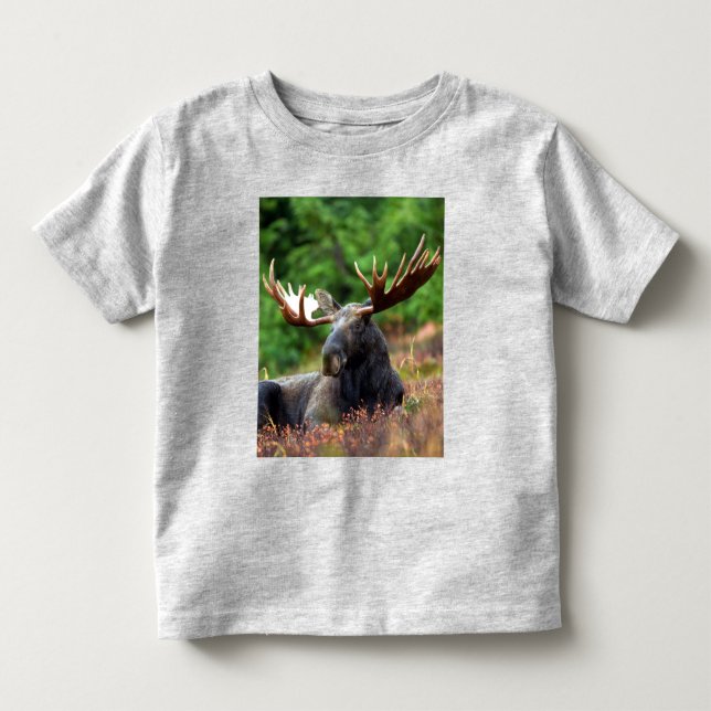 Moose Småbarn T-Shirt (Framsida)