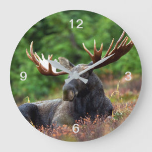 Moose Stor Klocka