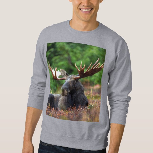 Moose Sweatshirt (Framsida)
