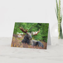 Moose Tack Kort