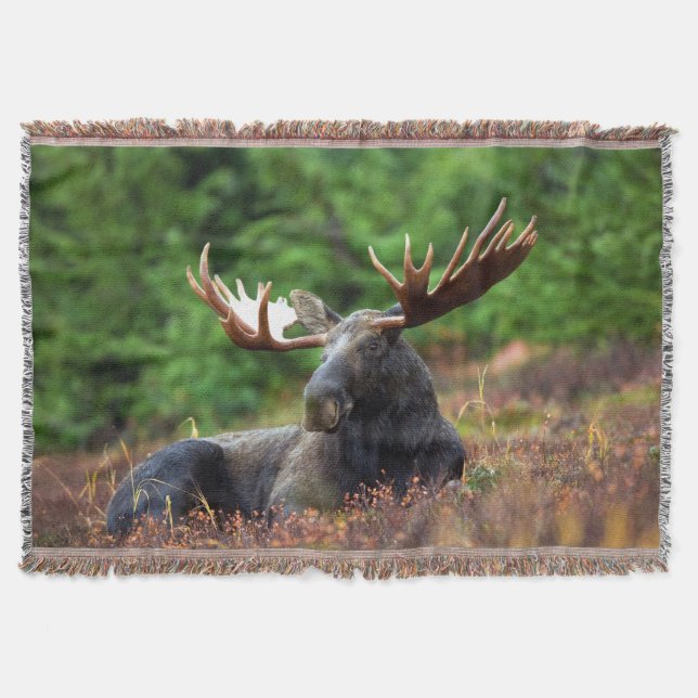 Moose Throw Blanket Filt (Framsidan)