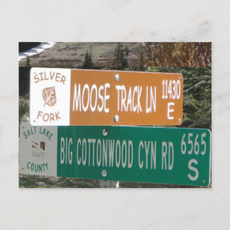 Moose Track Lane Vykort