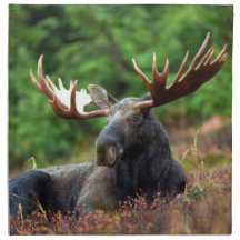 Moose Trasa Napkin