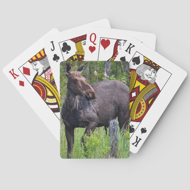 Moose-uppspelningskort Casinokort (Baksidan)