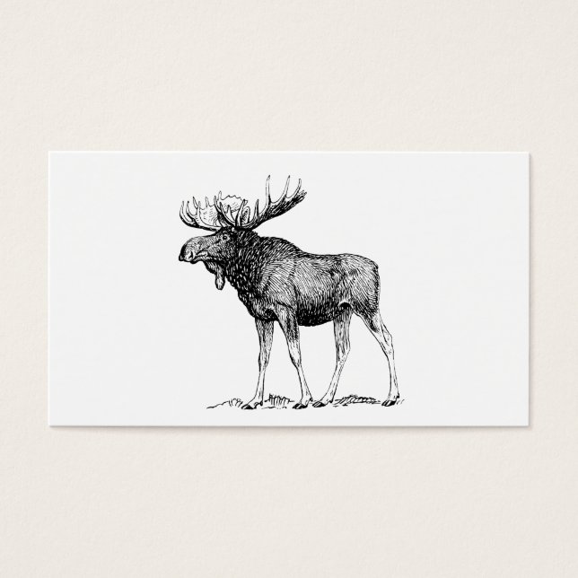 Moose Visitkort (Framsidan)