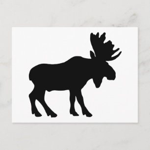 Moose Vykort