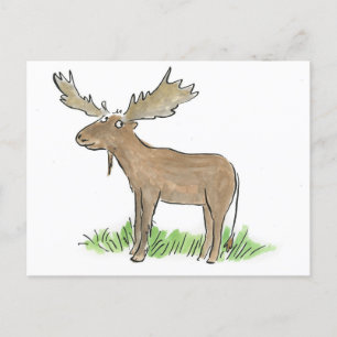 Moose Vykort
