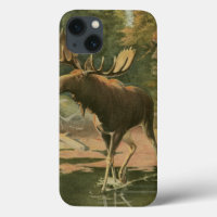 Moose Walking i Vatten