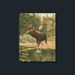 Moose Walking i Vatten Canvastryck<br><div class="desc">Bor du långt från naturen? Denna vackra och likväl klassiska bild av ge är ett fredligt intryck och färgen på den älg som går i vatten är korrekta,  vilket gör denna bild mycket realistisk. Skaffa den här naturkonsten på dina favoritprodukter!</div>