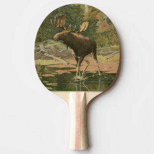 Moose Walking i Vatten Pingisracket