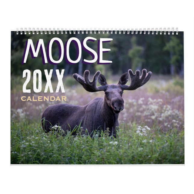 Moose Wall Calendar 2026 Wildlife Animals Kalender (Omslag)