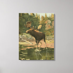 Moose Walting i Vatten Canvastryck