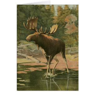 Moose Walting i Vatten Hälsningskort