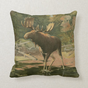 Moose Walting i Vatten Kudde