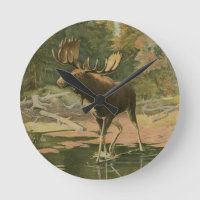 Moose Walting i Vatten
