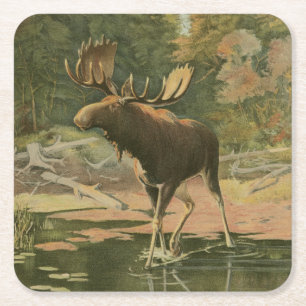 Moose Walting i Vatten Underlägg Papper Kvadrat