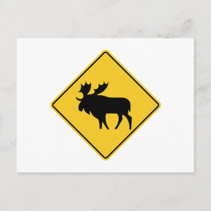 Moose Warning, Road Sign, Kanada Vykort