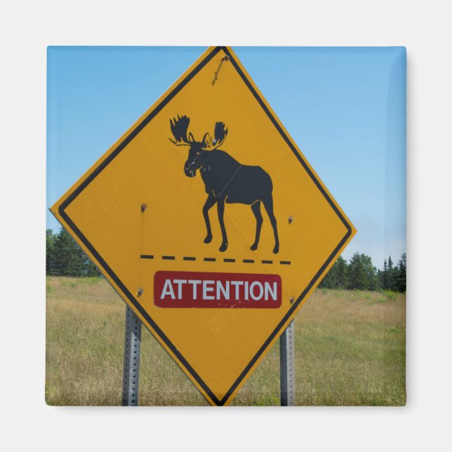 Moose Warning Sign Magnet (Framsidan)