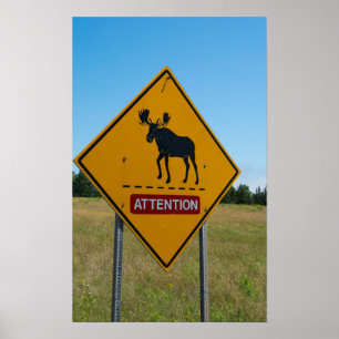 Moose Warning Sign Poster