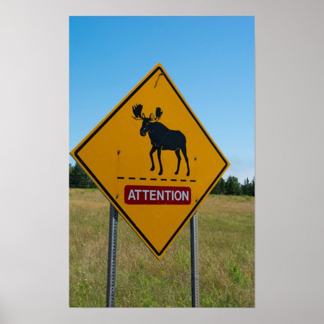 Moose Warning Sign Poster (Framsidan)