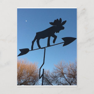 Moose weathervane vykort