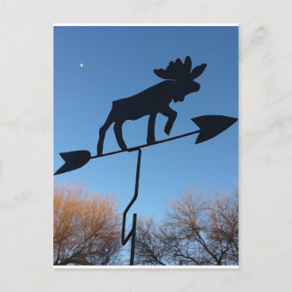 Moose weathervane vykort