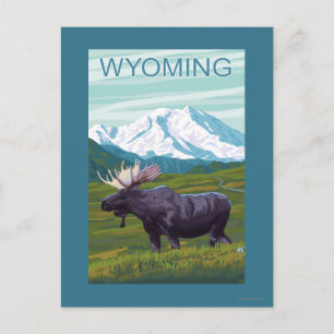 Moose with MountainWyoming Vykort