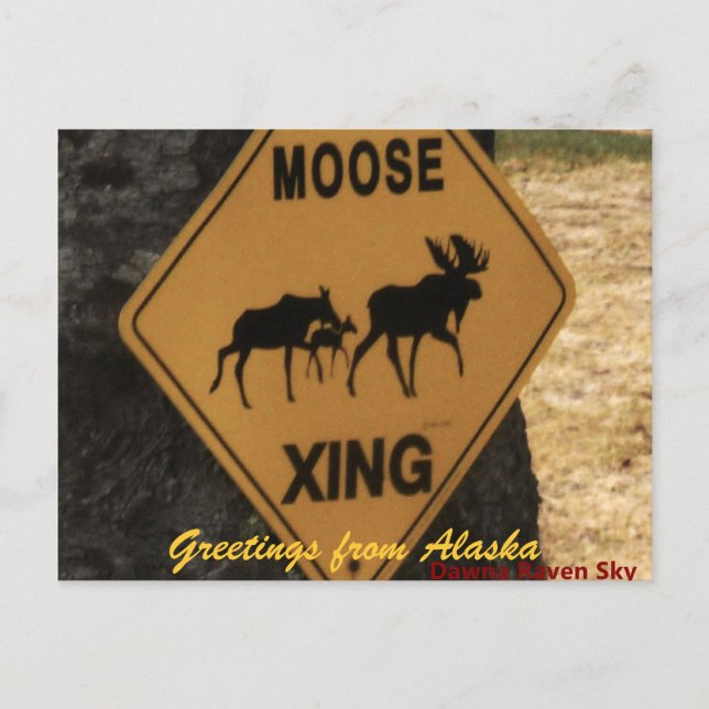 moosecrossing, Hälsning från Alaska Vykort (Framsida)