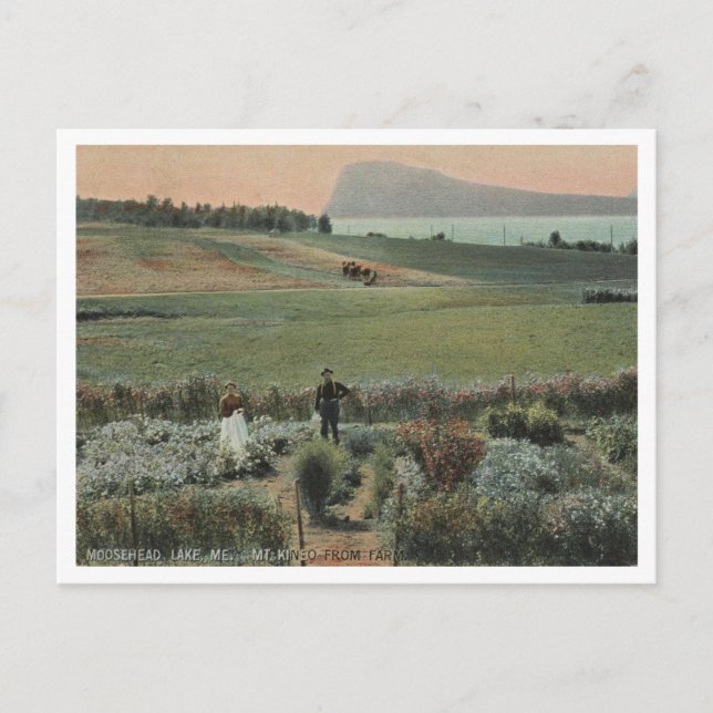 Moosehead Sjö ME, Mt Kineo, Farm 1910 Vykort (Framsida)