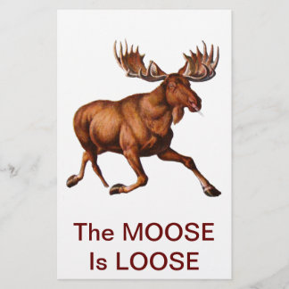 MOOSEN ÄR LÖS