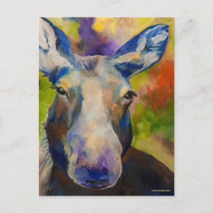 Moosey Moose Postcard Vykort