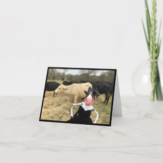 Mootilda säger "HAY!" Kort