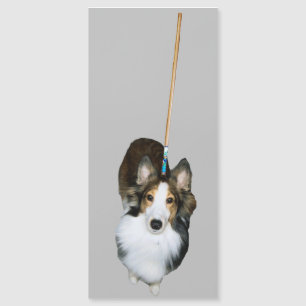 Mop-Hund