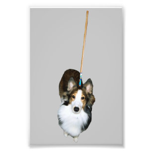 Mop-Hund Fototryck