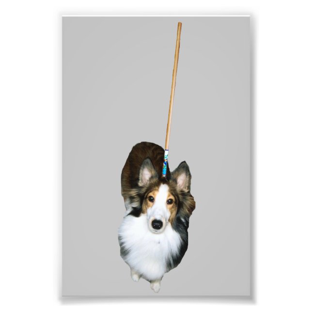 Mop-Hund Fototryck (Framsidan)